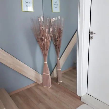 Apartament Airluxapartament *